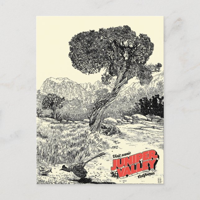 Juniper Valley Wilderness - Carte postale (Devant)