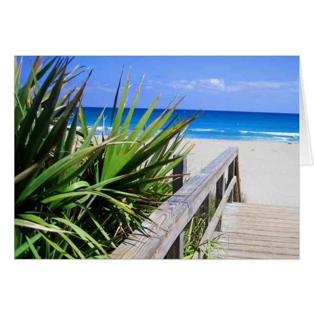 Juno Beach Floride (Devant horizontal)