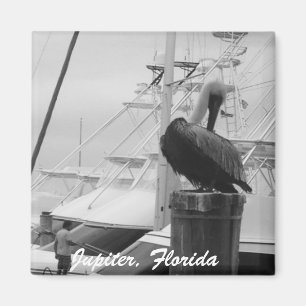 Jupiter, Floride Bateaux & Pélican photo Magnet