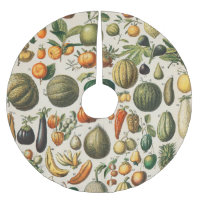 Illustration scientifique végétale des fruits