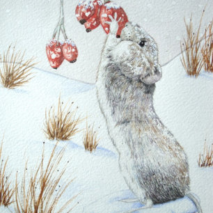 Jupon De Sapin En Polyester Brossé Mignonne souris mangeant des baies de neige faune