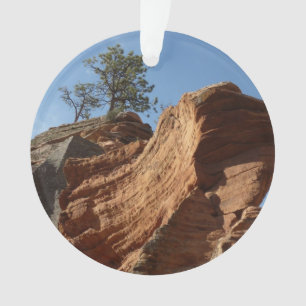 Jusqu'à Angels Landing dans le parc national de Zi