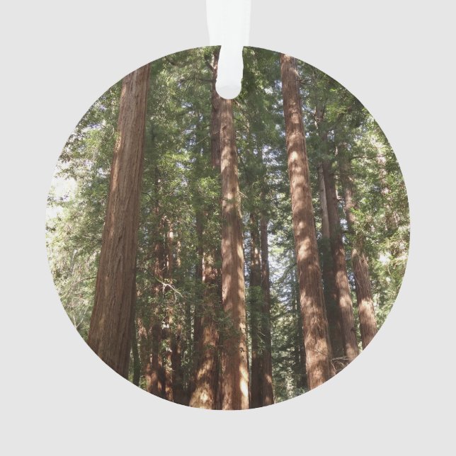 Jusqu'à Redwoods II au monument national de Muir W (dos)