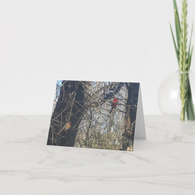 Just Chillin' - Carte de Note des Cardinals (Devant)