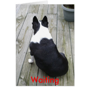 Juste attendant…, attendant