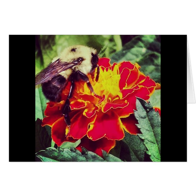 Juste cause ! (Devant horizontal)