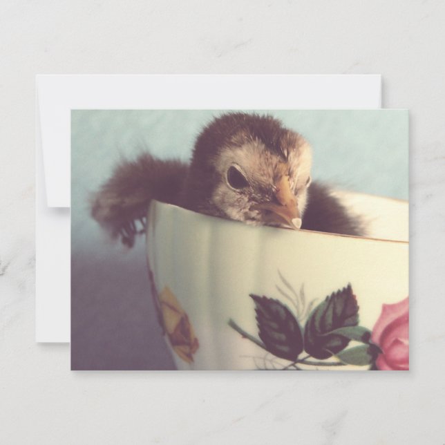 Juste Chillin' (Devant)