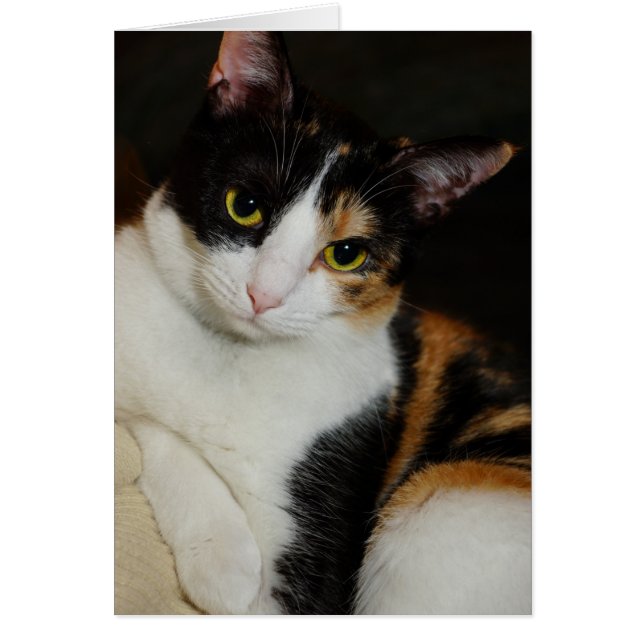 Juste en train de se pendre (Devant)