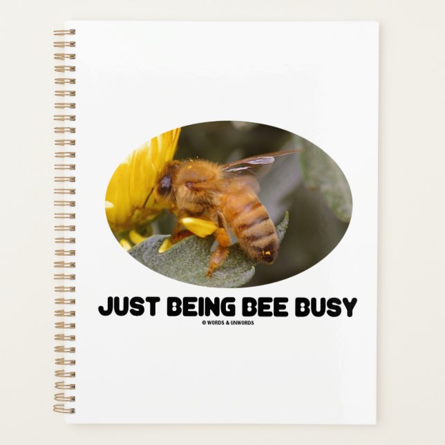 Juste Être Occupé (Abee Sur Fleur Jaune) (Devant)
