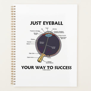 Juste Eyeball Votre Façon De Réussir L'Anatomie De