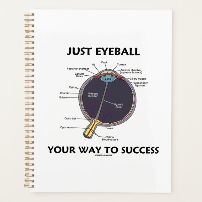 Juste Eyeball Votre Façon De Réussir L'Anatomie De (Devant)
