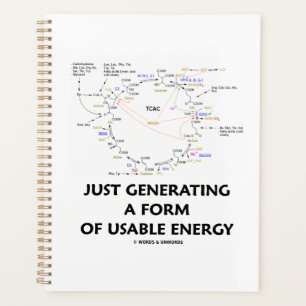 Juste Générer Une Forme D'énergie Utilisable Krebs