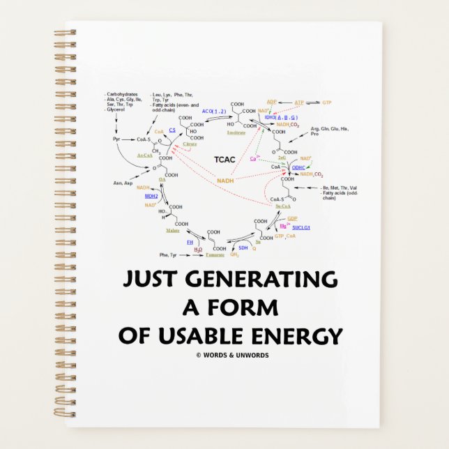 Juste Générer Une Forme D'énergie Utilisable Krebs (Devant)