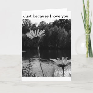 Juste parce que j'aime les cartes