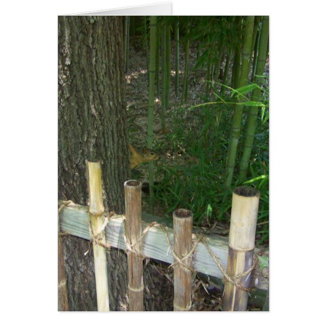 juste pour le plaisir, l'écureuil sournois se fait (Devant)