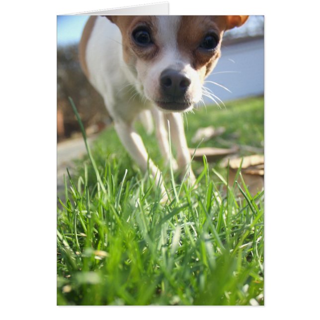 Juste pour vous enregistrer pour dire bonjour ! (Devant)