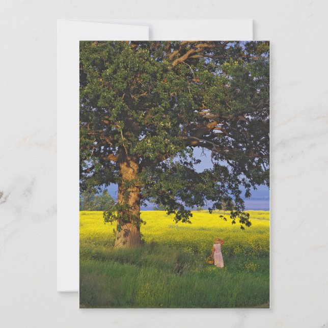 Juste quelques invitations (Devant)