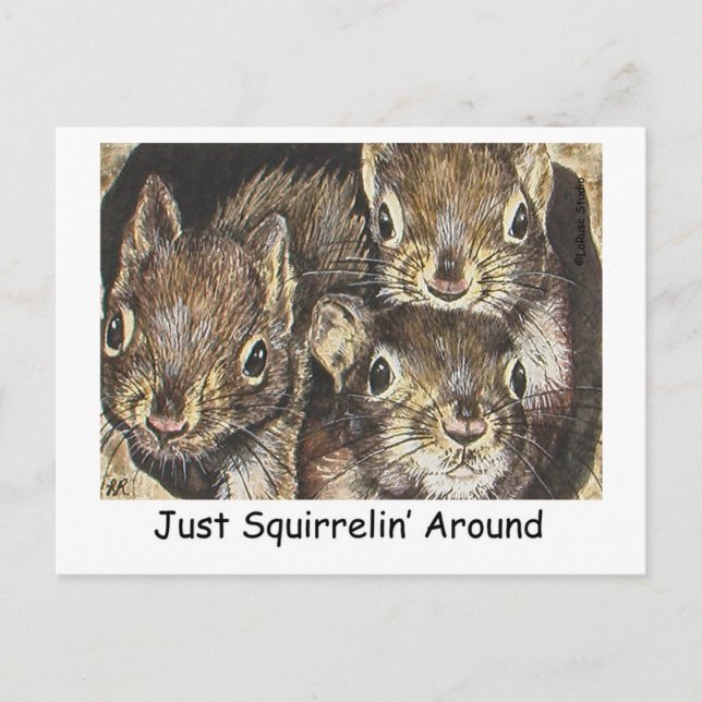 Juste Squirrellin' Autour Carte Postale (Devant)