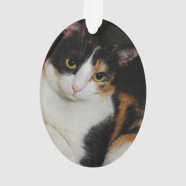 Juste traînant (dos)