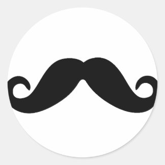 juste un autocollant de moustache