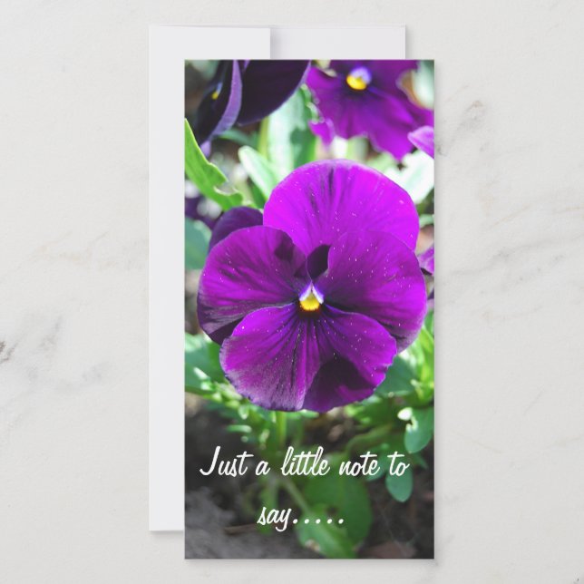 Juste un petit mot à dire.... (Devant)