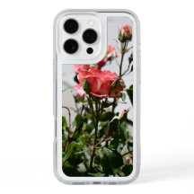 Juste un Rose