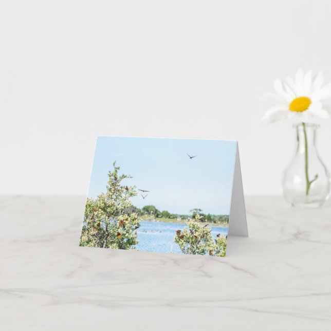 Juste une carte (Petite plante)