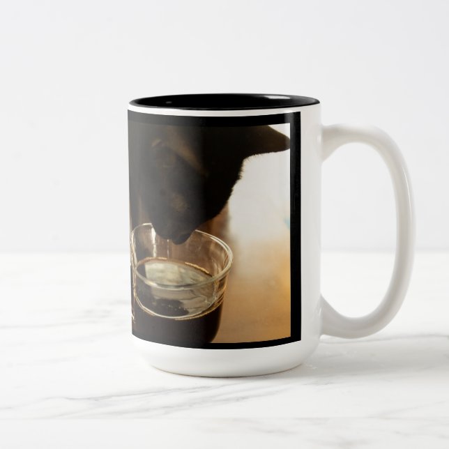 Juste une gorgée : Orion My Cat Mug (Droit)