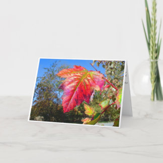 K&K - Carte de sympathie