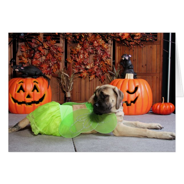 Kahlua - mastiff anglais - Phiathep (Devant horizontal)