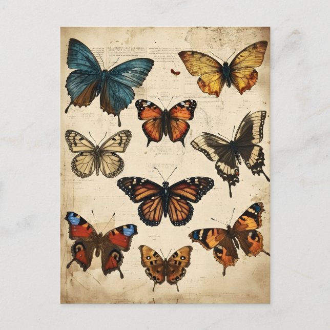Kaleidoscope à papillon : Carte postale Vintage (Devant)