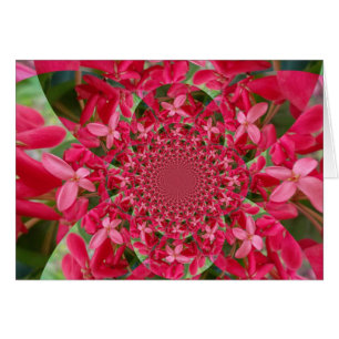 Kaleidoscope de Crimson : Blood Milkweed Flower Ar