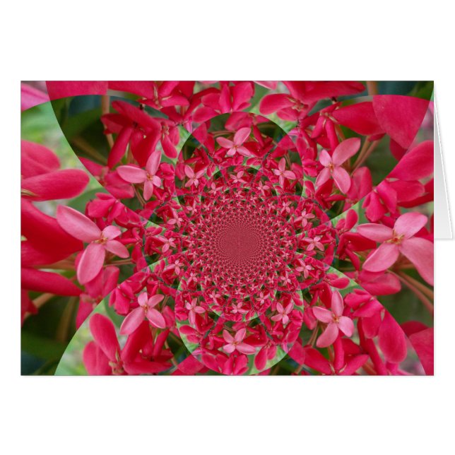 Kaleidoscope de Crimson : Blood Milkweed Flower Ar (Devant horizontal)