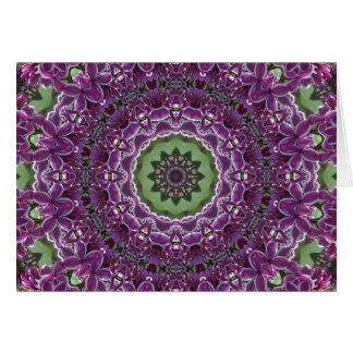 Kaléidoscope de lilas
