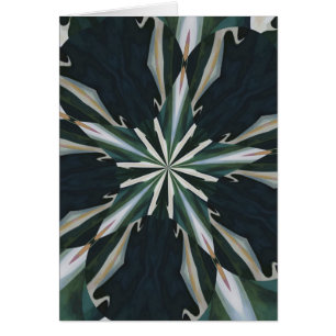 Kaléidoscope d'étoile de zantedeschia