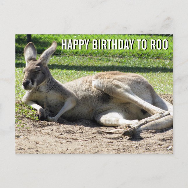 Kangaroo Bonne Anniversaire à Roo Carte Postale (Devant)