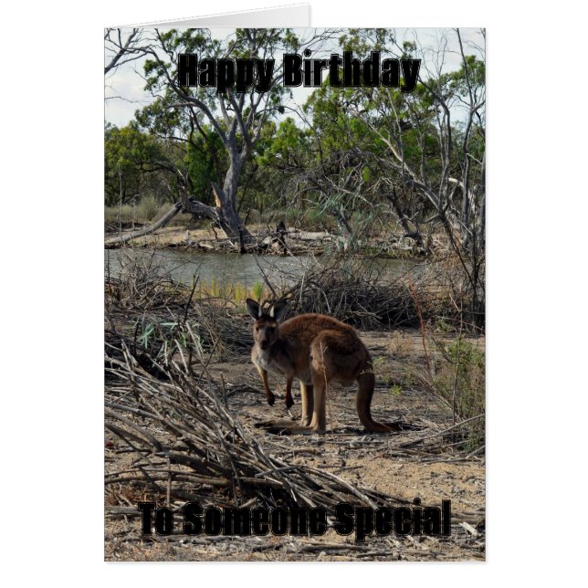Kangaroo Pendant Ce Temps Au Billabong, Carte Anni (Devant)