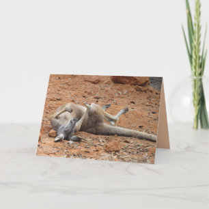 Kangaroo Rolling / Jouer sur la carte de la tête