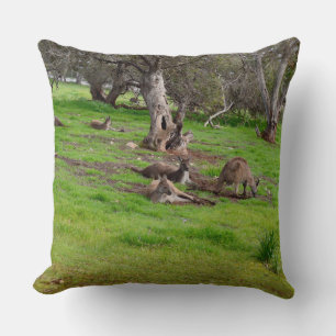 Kangaroo Siesta, Gros Coussin À Throw.