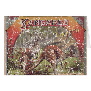 Kangaroo Tobacco 1900 - en détresse