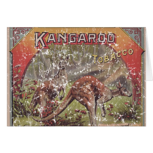 Kangaroo Tobacco 1900 - en détresse (Devant horizontal)