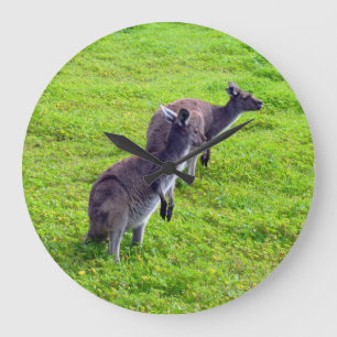 Kangaroos Vert Herbe, Horloge Mur