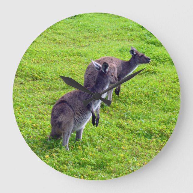 Kangaroos Vert Herbe, Horloge Mur (Recto)