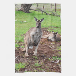 Kangourou mâle australien, serviette de cuisine