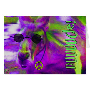 Kangourou pacifique hippie psychédélique, type !