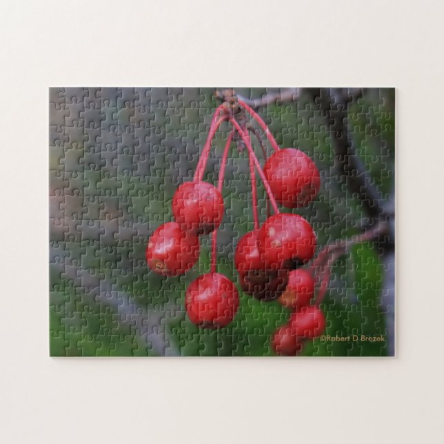 Kansas Red Berries closeup Puzzle (Horizontal)
