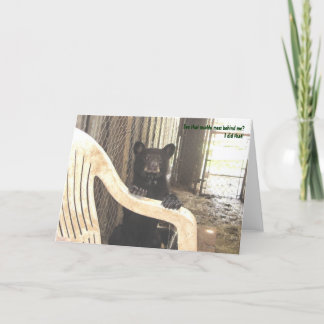 Kapalua boueux - carte de voeux