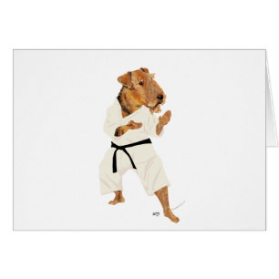 Karate Terrier