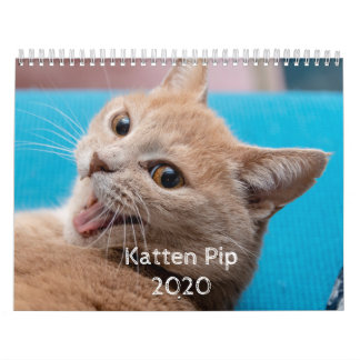 Katten Pip - Calendrier 2020