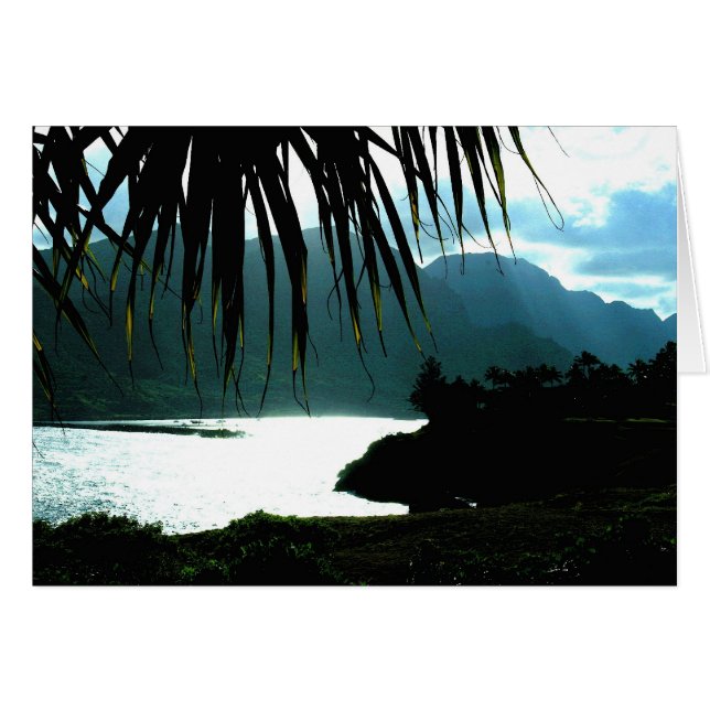 KAUAI, BAIE DE KALAPAKI (Devant Horizontal)